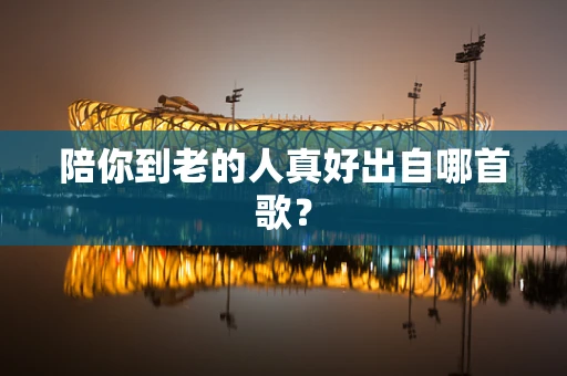陪你到老的人真好出自哪首歌？