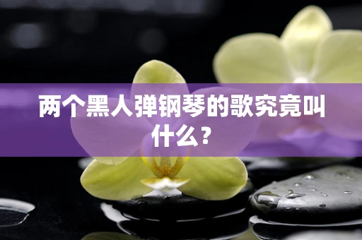 两个黑人弹钢琴的歌究竟叫什么？