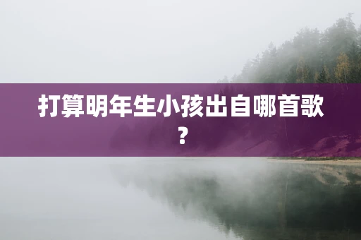 打算明年生小孩出自哪首歌？