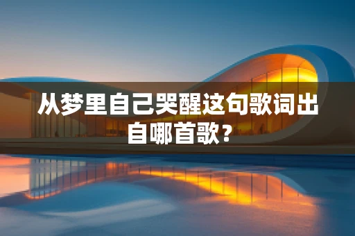 从梦里自己哭醒这句歌词出自哪首歌？