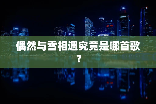 偶然与雪相遇究竟是哪首歌？
