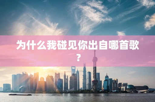 为什么我碰见你出自哪首歌？
