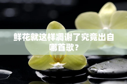 鲜花就这样凋谢了究竟出自哪首歌？