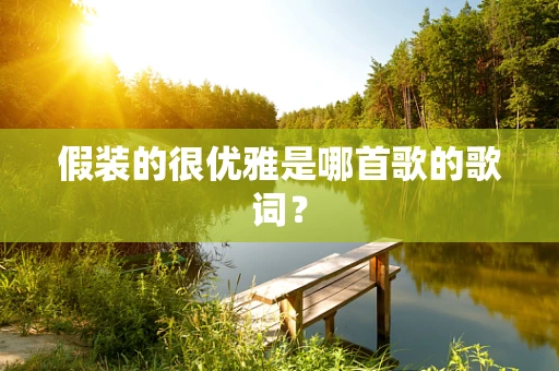 假装的很优雅是哪首歌的歌词？