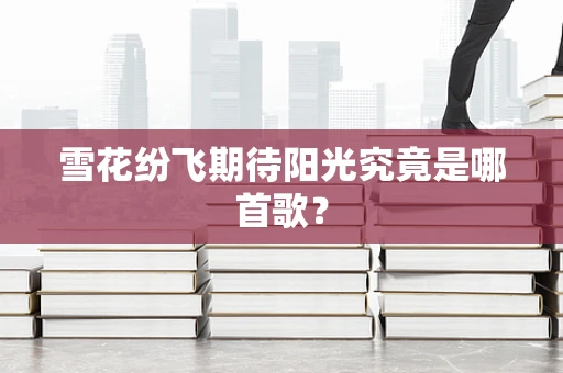 雪花纷飞期待阳光究竟是哪首歌？