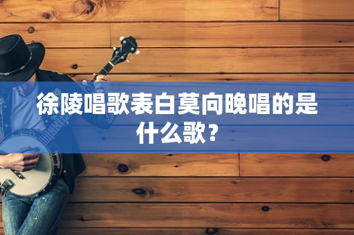 徐陵唱歌表白莫向晚唱的是什么歌？