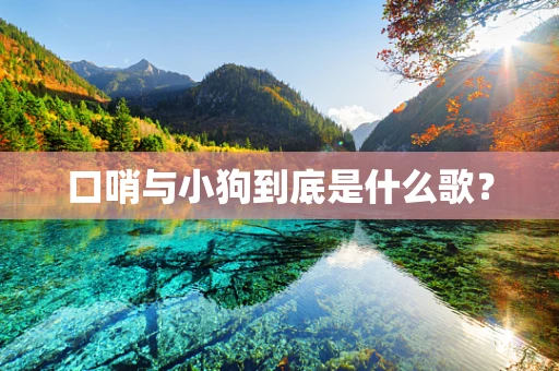 口哨与小狗到底是什么歌？