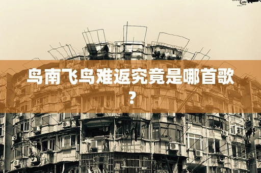 鸟南飞鸟难返究竟是哪首歌？