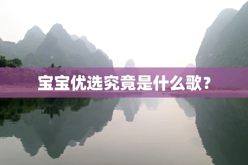 宝宝优选究竟是什么歌？