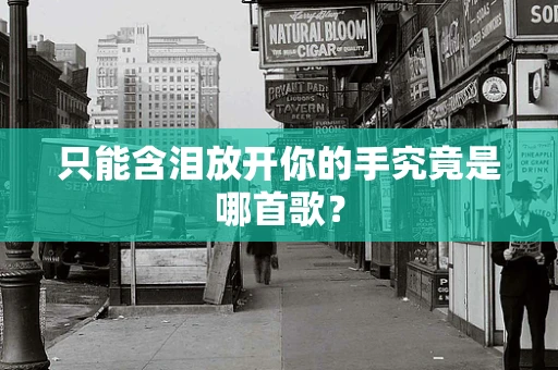 只能含泪放开你的手究竟是哪首歌？