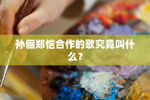 孙俪郑恺合作的歌究竟叫什么？