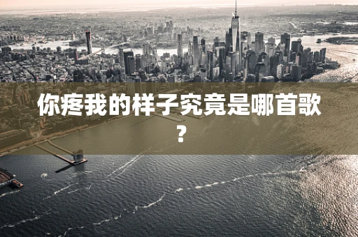 你疼我的样子究竟是哪首歌？