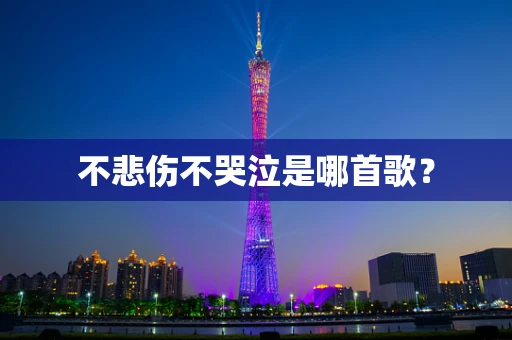 不悲伤不哭泣是哪首歌？