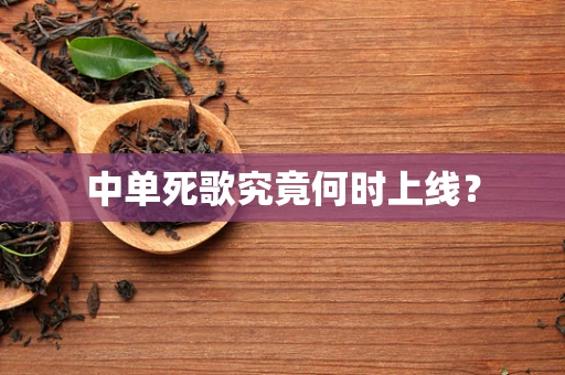 中单死歌究竟何时上线？