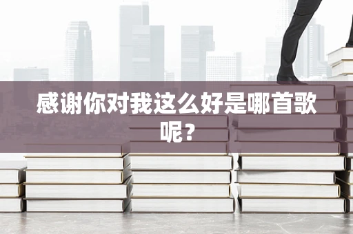 感谢你对我这么好是哪首歌呢？