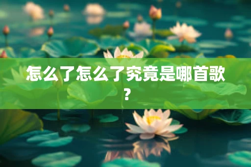 怎么了怎么了究竟是哪首歌？