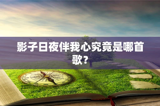 影子日夜伴我心究竟是哪首歌？