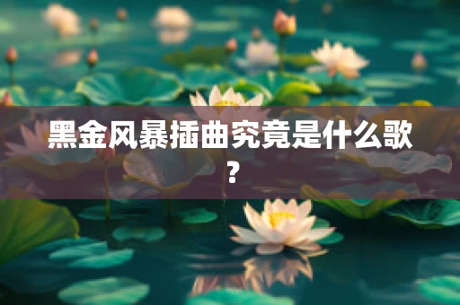 黑金风暴插曲究竟是什么歌？