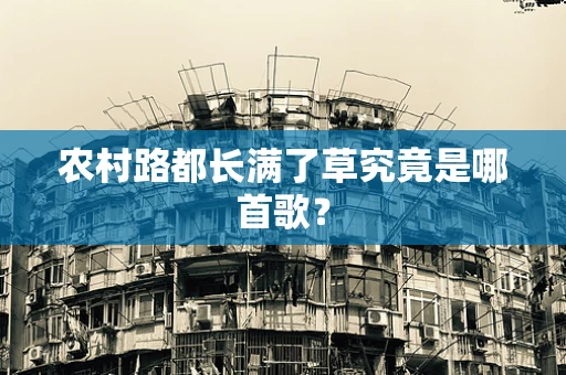 农村路都长满了草究竟是哪首歌？