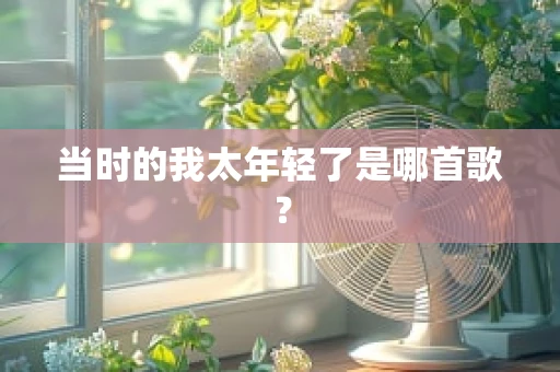 当时的我太年轻了是哪首歌？