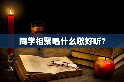 同学相聚唱什么歌好听？