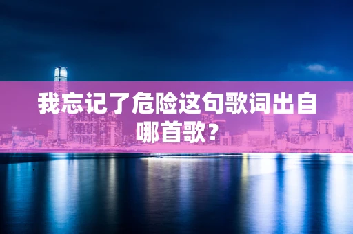 我忘记了危险这句歌词出自哪首歌？