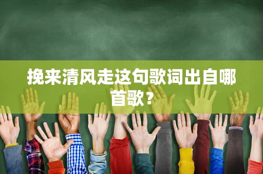 挽来清风走这句歌词出自哪首歌？