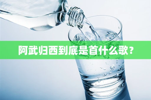 阿武归西到底是首什么歌？