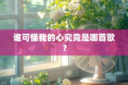 谁可懂我的心究竟是哪首歌？