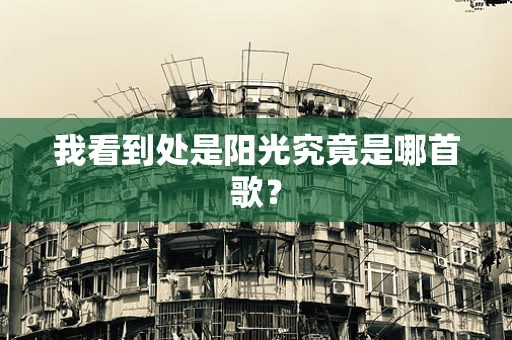 我看到处是阳光究竟是哪首歌？
