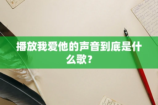 播放我爱他的声音到底是什么歌？
