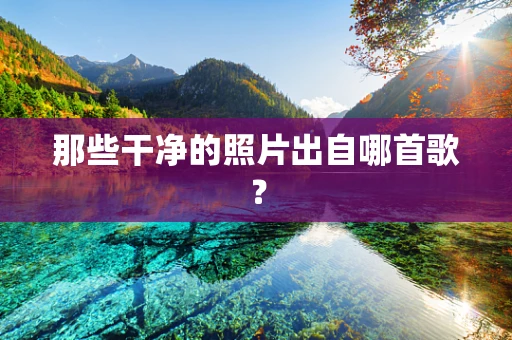 那些干净的照片出自哪首歌？