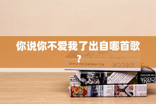 你说你不爱我了出自哪首歌？