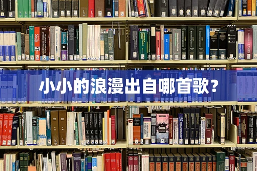 小小的浪漫出自哪首歌？