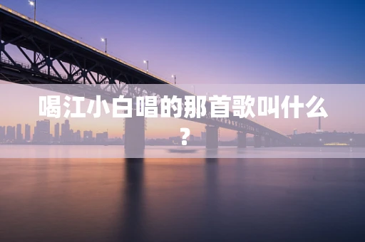 喝江小白唱的那首歌叫什么？