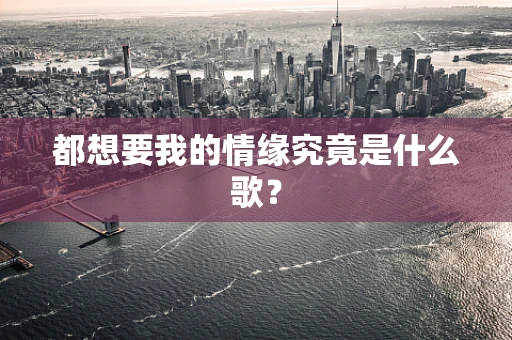 都想要我的情缘究竟是什么歌？
