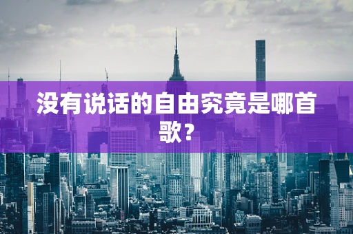 没有说话的自由究竟是哪首歌？