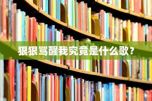 狠狠骂醒我究竟是什么歌？