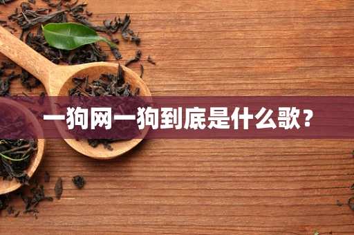 一狗网一狗到底是什么歌？
