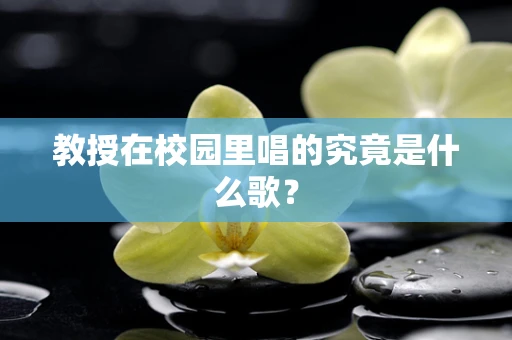 教授在校园里唱的究竟是什么歌？