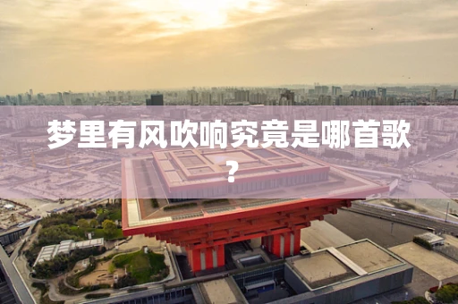 梦里有风吹响究竟是哪首歌？
