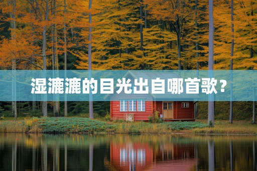 湿漉漉的目光出自哪首歌？