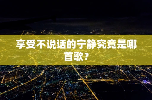 享受不说话的宁静究竟是哪首歌？