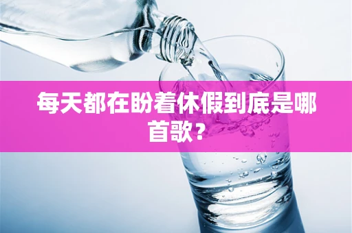 每天都在盼着休假到底是哪首歌？