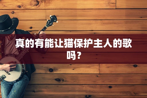 真的有能让猫保护主人的歌吗？