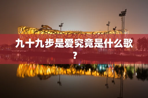 九十九步是爱究竟是什么歌？