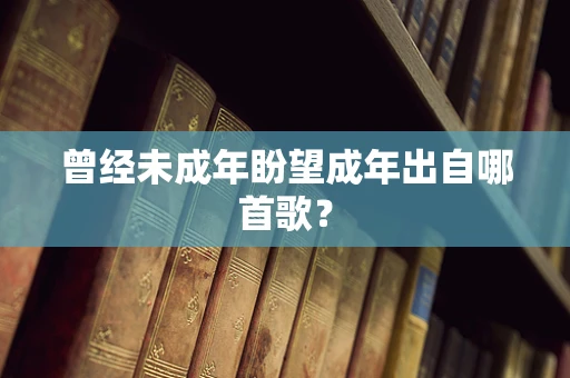 曾经未成年盼望成年出自哪首歌？