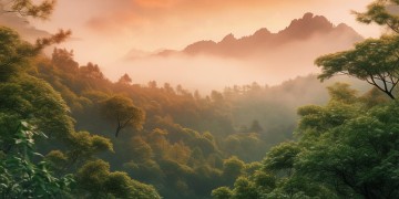 这首歌究竟何时播出？
