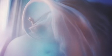 牵挂的人挥之不去到底是哪首歌？