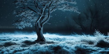 孤独的夜究竟是哪首歌？
